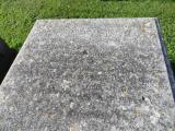 image of grave number 890876
